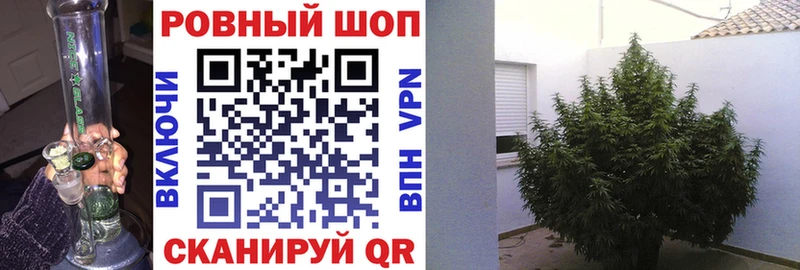 Купить наркотики сайты Избербаш Амфетамин  МЕФ  Alpha PVP  Канабис  КОКАИН 