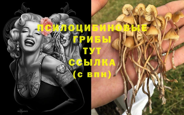 mix Абаза