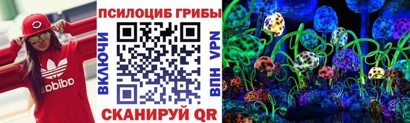 ОМГ ОМГ ссылка Избербаш Галлюциногенные грибы мицелий закладки