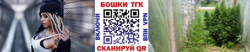 Канабис планчик  дарнет шоп  Избербаш 